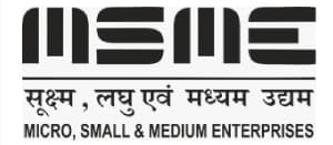 Micro Small and Medium Enterprise
